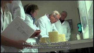 PGI assessment of Danablu  Danish Blue Cheese [upl. by Aneis]