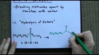 What is Hydrolysis  Examples [upl. by Hannis657]