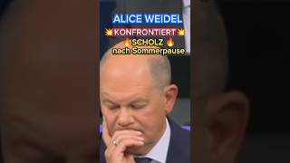 💥EKLAT💥 Jetzt IST Alice WEIDEL richtig SAUER afd ampel weidel scholz spd cdu merz faeser [upl. by Ellicec]