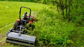 Next Level Flail Mower Work at the Farm Turning Trees and Brush in to Pasture Satisfying Results [upl. by Ecirum]