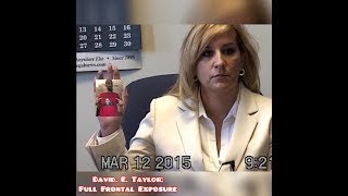 David E Taylor  tax fraud  irs fraud  scam artist  Chesterfield Missouri  Michelle Brannon [upl. by Anayt954]