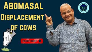 Understanding Abomasal Displacement in Cows Causes Symptoms and Treatment [upl. by Adolphus]