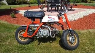 Honda z50 Mini Trail Top Speed [upl. by Persian]