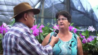 Orquidario Anjos em Louveira  Chão Brasileiro [upl. by Madora]