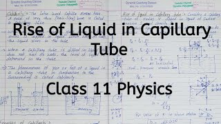 Rise of Liquid in Capillary Tube  Chapter 9  Mechanical Properties of Fluids  Class 11 Physics [upl. by Aleece320]