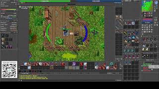 Tibia Global  Knight 285  Elder Druid 256  HUNT  Gazer Spectre [upl. by Casavant]