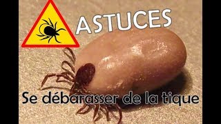 ASTUCES SE DEBARASSER DES TIQUES ACARIENS SANGUINAIRES [upl. by Ydnyl]