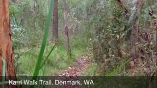 Karri Walk Trail  Denmark Western Australia [upl. by Senoj]