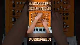 Analogue Solutions Fusebox X  Patch 01 synth analogsynth synthesizer analoguesolutions [upl. by Aibsel364]