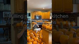 Filling My Parents Kitchen With Pumpkins [upl. by Day]