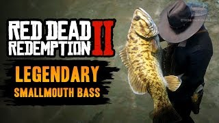 Red Dead Redemption 2 Legendary Fish  Legendary Smallmouth Bass [upl. by Ailana417]