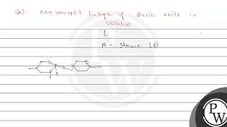 Answer the following questions\na Name an important carbohydrate which makes the cell wall of [upl. by Ssirk]