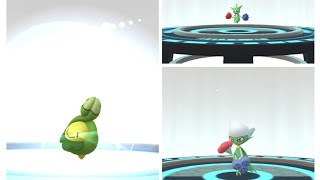 Beautiful Full Evolution 🧬 BUDEW 🧬 ROSELIA 🧬 ROSERASDE 🧬 Pokemon Go [upl. by Worden521]