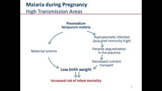 Malaria in Pregnancy by Davidson H Hamer pregnancyeducation medicaleducation diseaseawareness [upl. by Olleina]