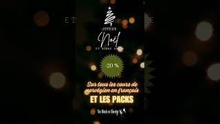 Promo de Noël sur TOUS les cours de norvégien en français 20  avec le code  NOEL23 [upl. by Garik490]