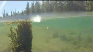 Fishing Hells Canyon FT Imnaha River [upl. by Rehpotsirk]