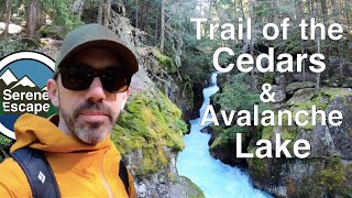 Trail of the Cedars amp Avalanche Lake Glacier National Park [upl. by Jahdol173]