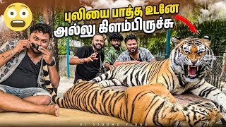 Thailand Tiger ka Hukum🐅🔥 Vj Siddhu Vlogs [upl. by Ayotna985]