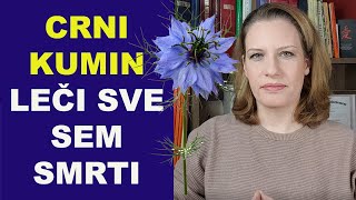 CRNI KUMIN  quotleči sve sem smrtiquotdr Bojana Mandić [upl. by Wilie]