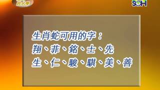 【生肖姓名學】 屬蛇的人適合與不適合的字 第22集 [upl. by Drescher]