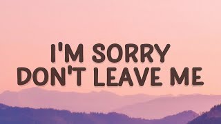 SLANDER  Im sorry dont leave me I want you here with me Lyrics  Love Is Gone [upl. by Kloman]