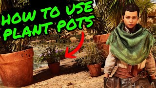 How To Use PLANT POTS in Ark Survival Ascended [upl. by Cilka]