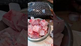 20 কেজি ওজনের কাটলার পেটি কাটছে সুন্দর করে yutubeshorts fish fishcutting [upl. by Enisamoht]