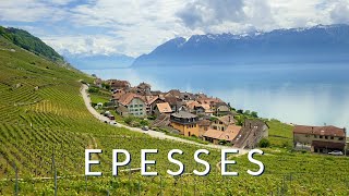 Epesses  A Swiss village in the spectacular Lavaux UNESCO region [upl. by Anaya]