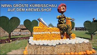 NRWs größte Kürbisschau  Biggest Pumpkin Show  Krewelshof Eifel [upl. by Assilam869]