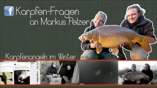 Karpfenangeln im Winter Die besten Tipps von Markus Pelzer [upl. by Eseerehc]