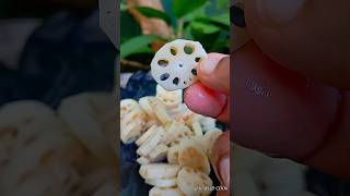 Lotus root curry  නෙළුම් අල කරිය මේ විදියට හදල බලන්න [upl. by Zel]