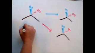 Topicity Homotopic Enantiotopic Diastereotopic [upl. by Lovich]