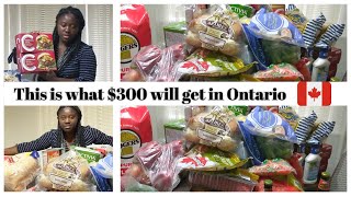 WHAT 300 will buy in CA The unsustainable cost of food in CANADA [upl. by Mayor]