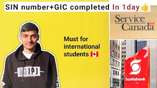 How to get SIN in Canada  How to activate GIC account in SCOTIABANK  mryashu513 [upl. by Hoppe]