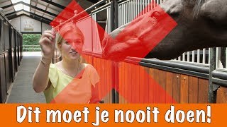 Doe dit NOOIT  PaardenpraatTV [upl. by Eecart]