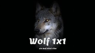 Wolf 1x1 [upl. by Petuu]