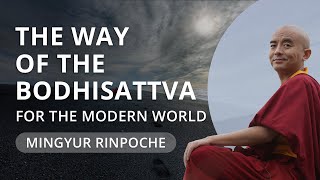 The Way of the Bodhisattva with Yongey Mingyur Rinpoche [upl. by Siul]