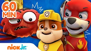 ¡Los MÁS GRANDES rescates de la Patrulla de Cachorros 🙀  Nick Jr en Español [upl. by Azral]