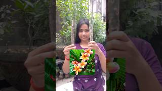 কাঠগোলাপ গাছের ডাল থেকে চারা বানানো সহজ।Rubra tricolor plumeria। shorts garden plants green [upl. by Scheers]