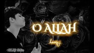 Harris j oh Allah lyrics videolyrics video [upl. by Wilmer344]