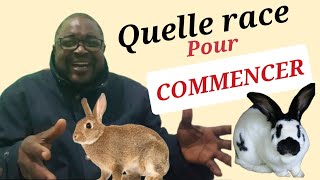 AVEC QUELLE RACE DE LAPINS DÉBUTER EN CUNICULTURE  DÉBUTANTS EN ÉLEVAGE DES LAPINS [upl. by Ahsuoj]