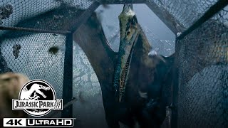 The Pteranodon Aviary Attack in 4K HDR  Jurassic Park III [upl. by Anahahs]