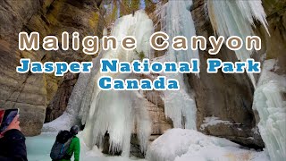 Maligne Canyon ICE WALK  Jasper National Park MUST VISIT IN CANADA [upl. by Lekzehcey889]