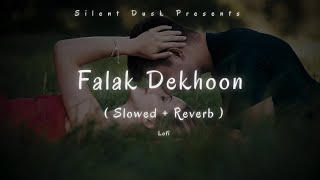 Falak DekhuSlowed  Reverb  Sonu Nigam  Lofi  Akshay Kumar  Romantic Song  Silent Dusk [upl. by Belayneh]