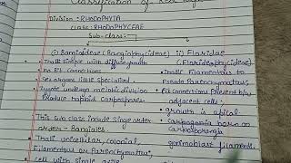 Classification of Rhodophyta  classification of Red algae Red Algae [upl. by Eiba]