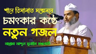 আল্লামা জউম আব্দুল মুনাঈম মনজলালী সাহেবের কন্ঠে চমৎকার গজল। Allama Abdul Munayem Monjolali 2023 [upl. by Odlonra]