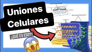 🚨🚨TIPOS de UNIONES CELULARES  5 que NO CONOCES [upl. by Puna]