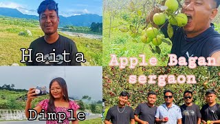 Arunachal Pradesh sergaon Apple bagan 🍎🍎 [upl. by Airdnahs665]