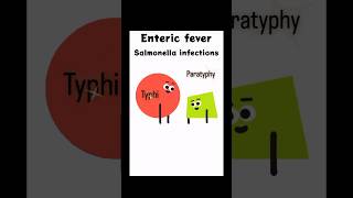 Enteric Fever Quick Guide to Diagnosis and Treatment entericfever gastroenterology medicalshorts [upl. by Franny]