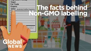 GMO foods Why its meaningless to label geneticallymodified organisms [upl. by Aihseuqram]